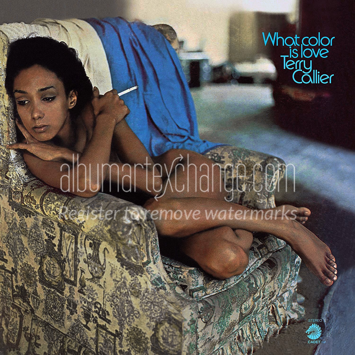 Album Art Exchange - What Color is Love by Terry Callier - Album 